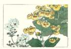 28 photo28_small.jpg
